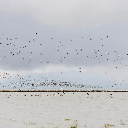 Ferienhaus Bach Dorumer Neufeld