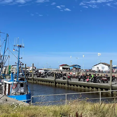 Bach ドルム・ノイフェルト