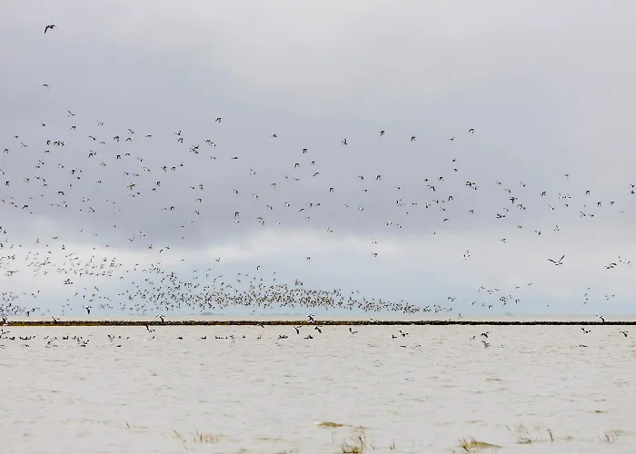 بيت للعطل Bach دورم نيوفيلد