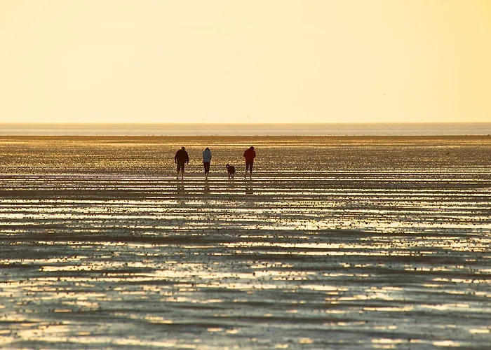 Bach بيت للعطل دورم نيوفيلد